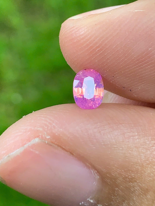 Pink silky sapphire LụcYên_04082517