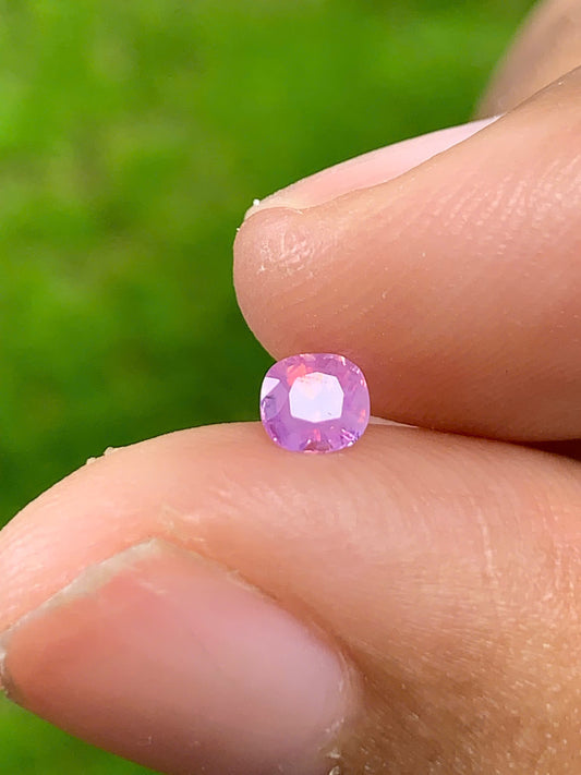 Natural Pink sapphire_01082528