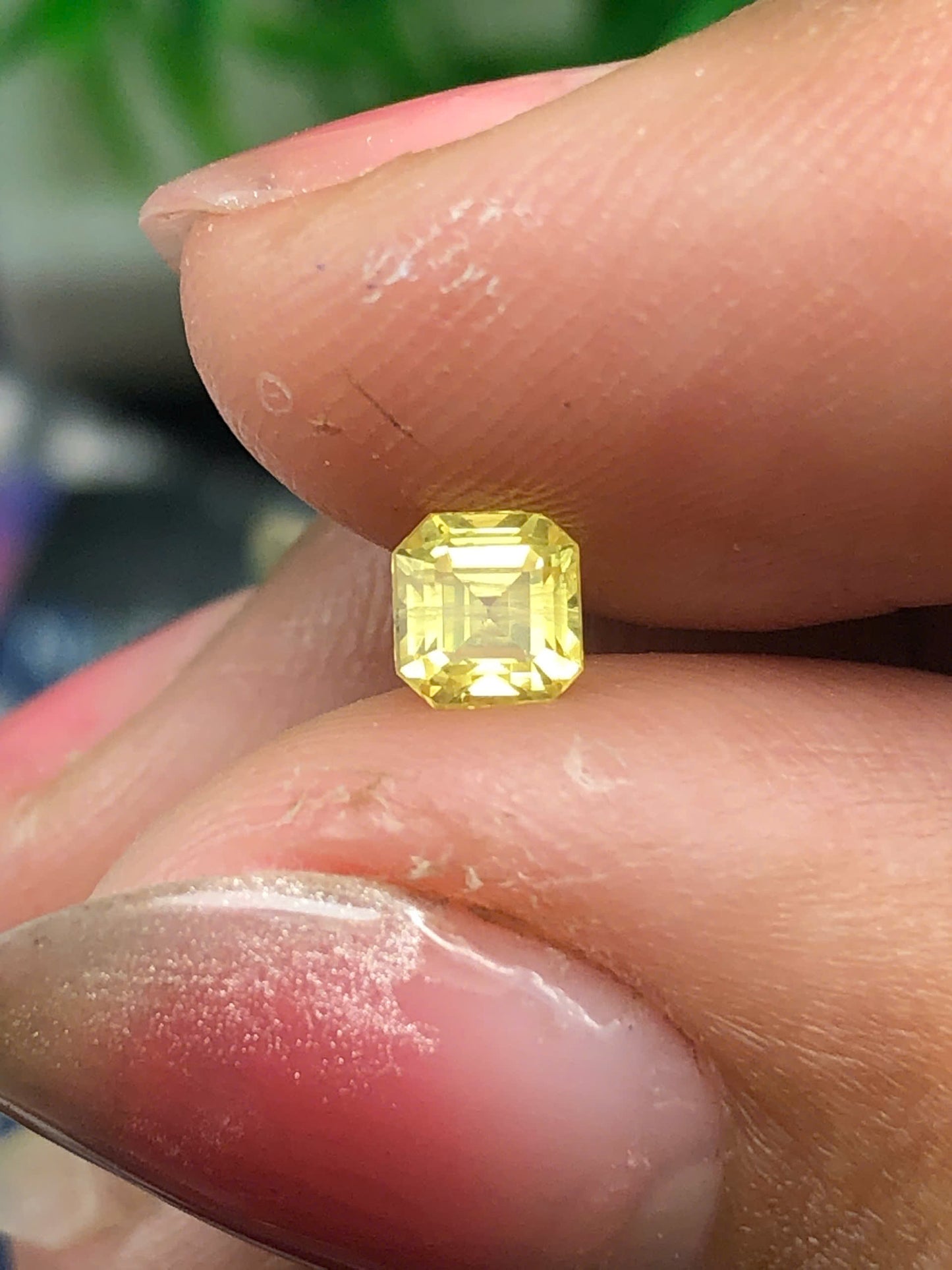 Natural yellow sapphire LụcYên 0.5ct (normal - heated )-13032612HA