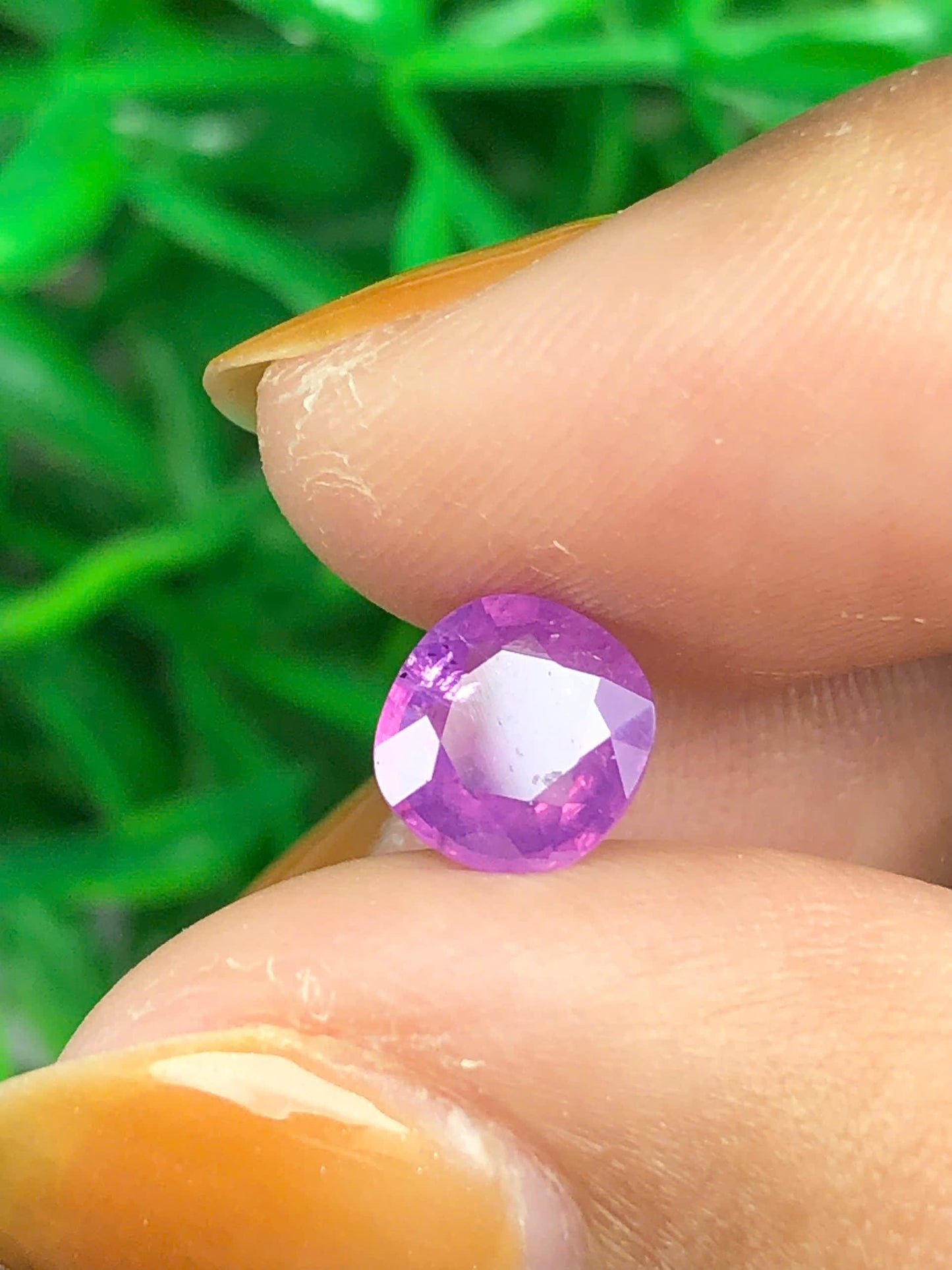 Natural purplish pink sapphire LụcYên 1.45ct_29032604HU