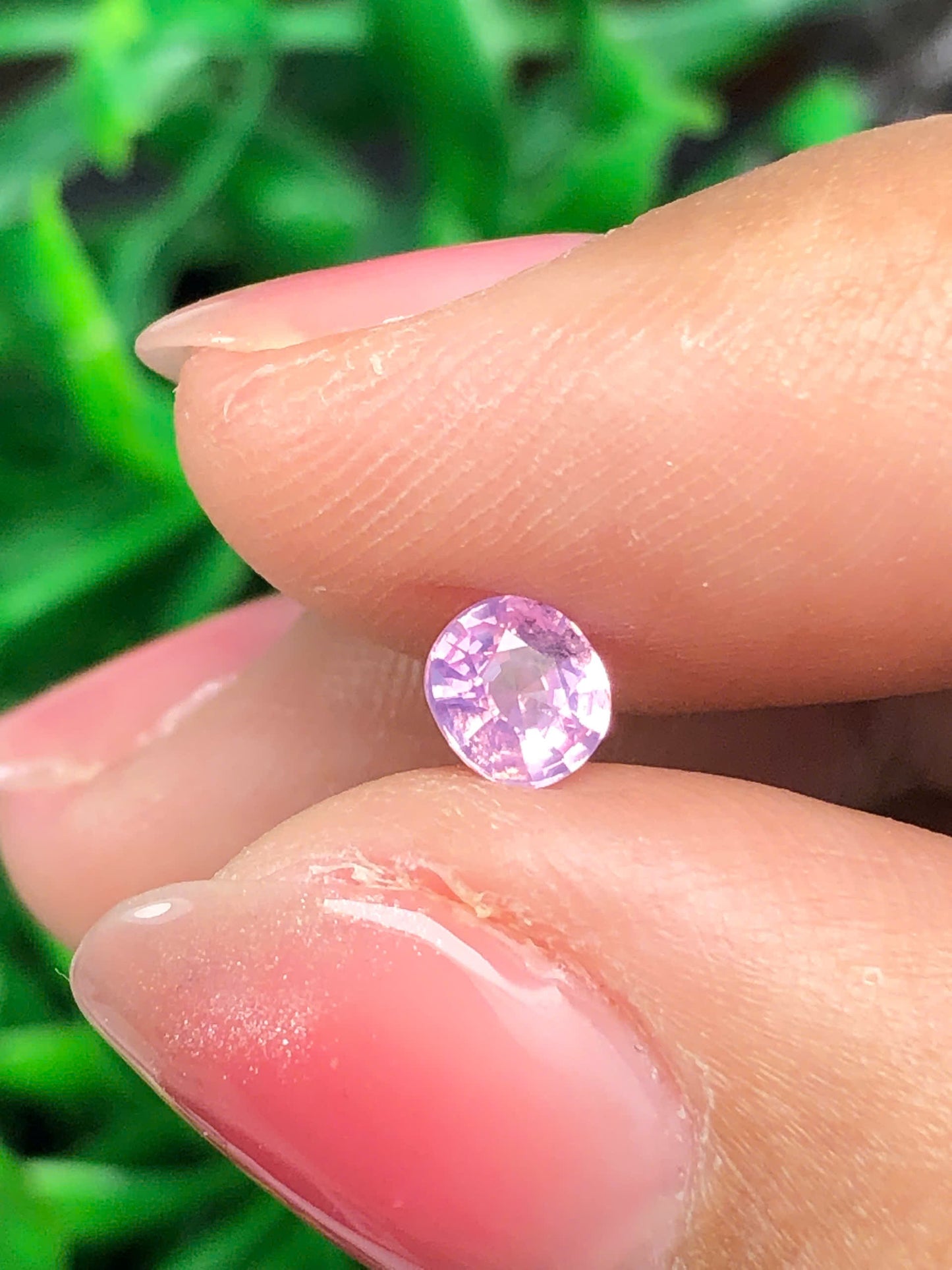 Natural light pink sapphire LụcYên 0.47ct_16022619HA