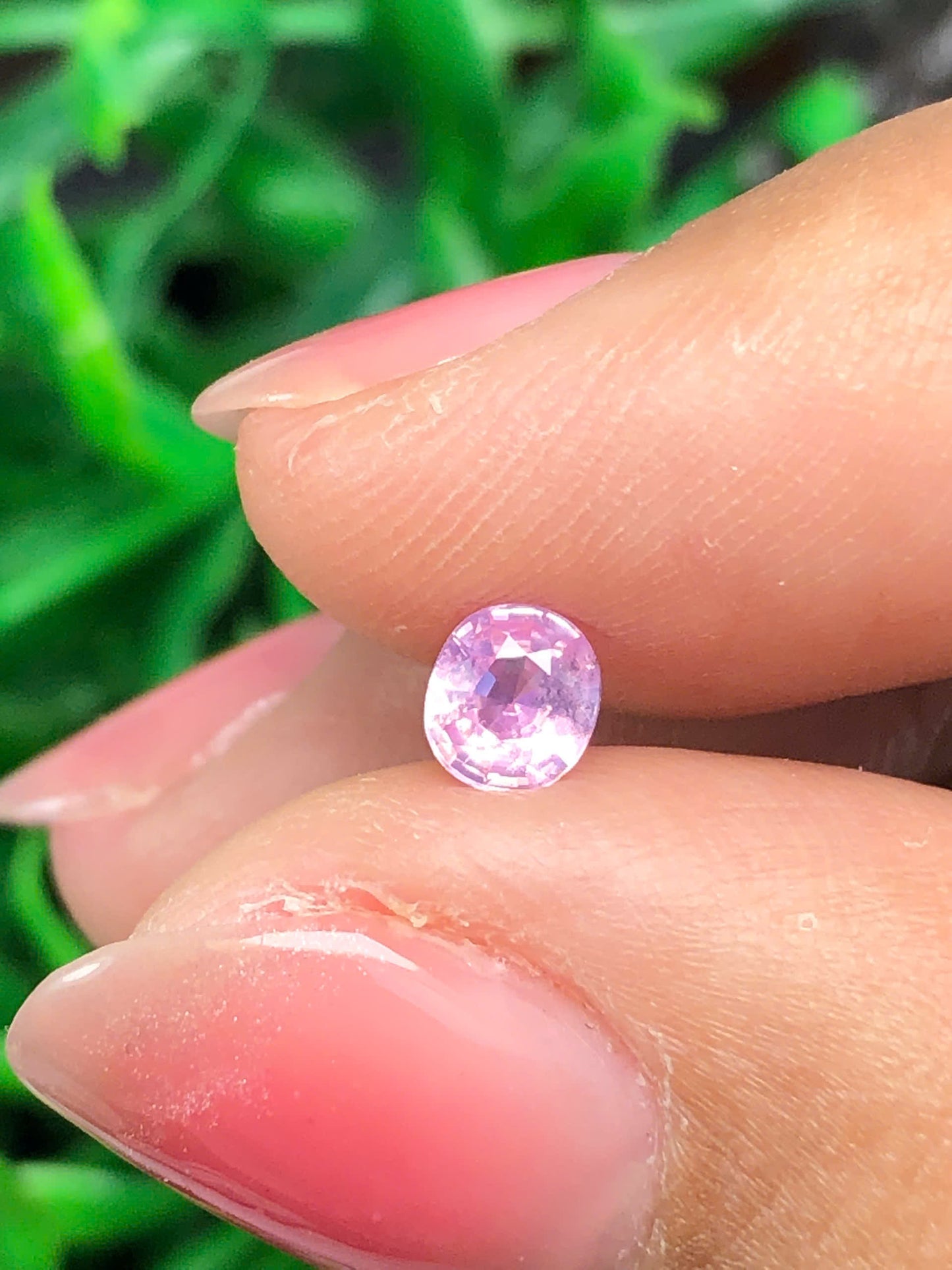 Natural light pink sapphire LụcYên 0.47ct_16022619HA
