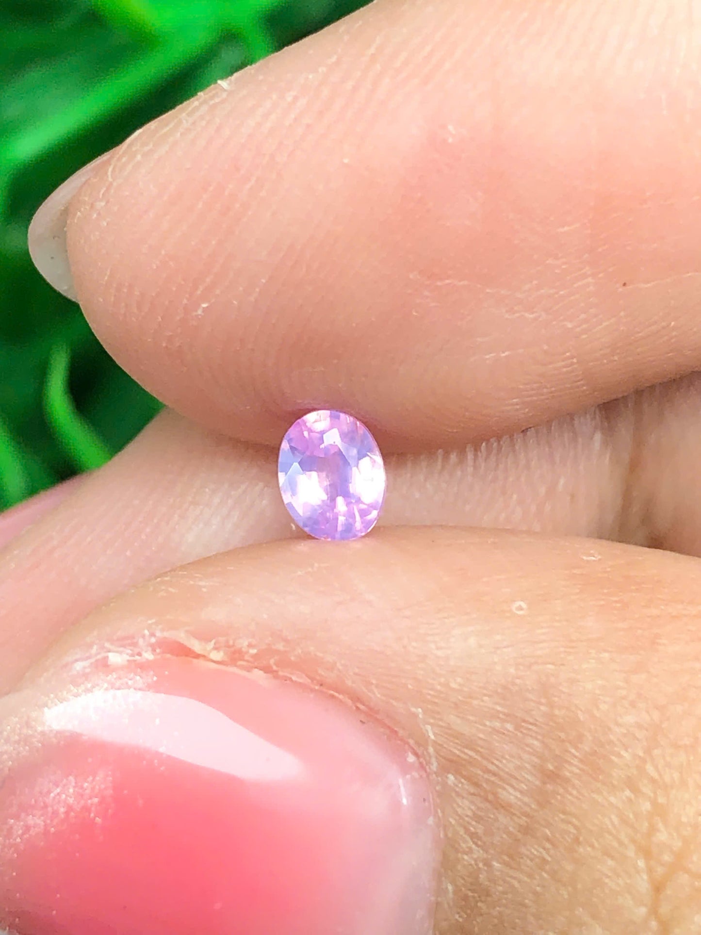 Natural purplish pink sapphire LụcYên 0.27ct_16022629HA