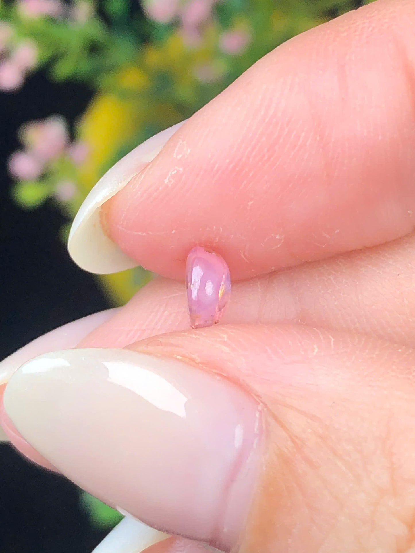 Natural pink Sapphire Cacbochon Luc Yen 0,67ct - 041215HG