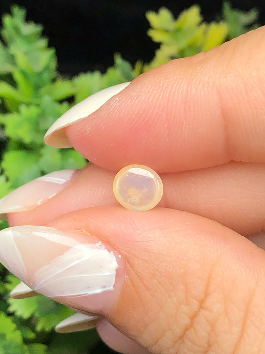 Natural light yellow Sapphire Cacbochon Luc Yen 1,03ct -140102HG