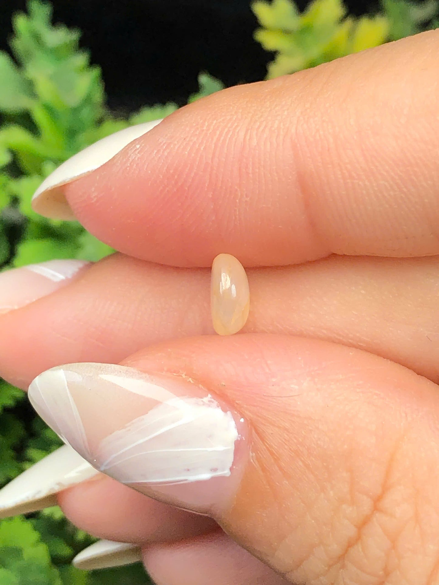 Natural light yellow Sapphire Cacbochon Luc Yen 1,03ct -140102HG