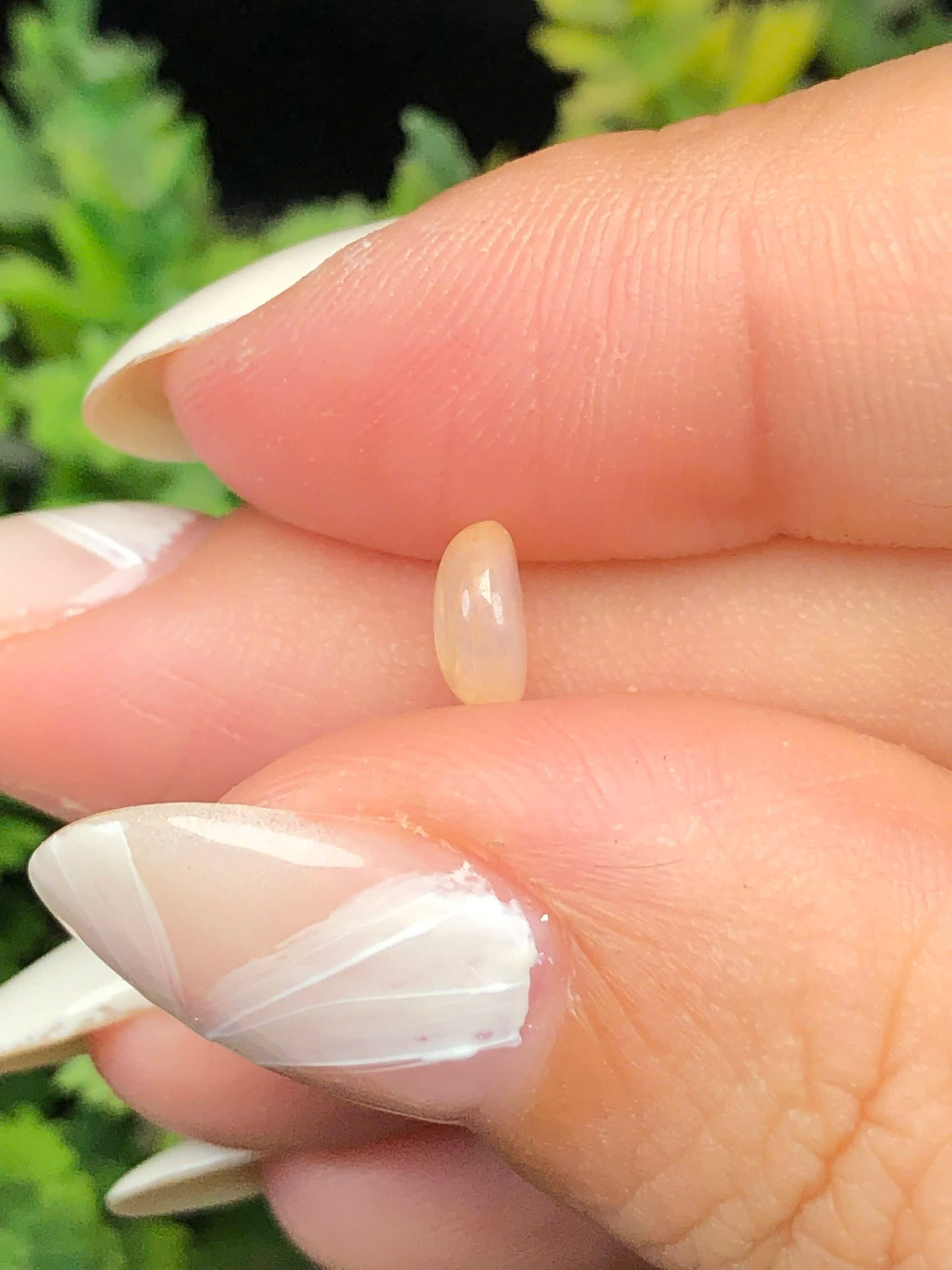 Natural light yellow Sapphire Cacbochon Luc Yen 1,03ct -140102HG