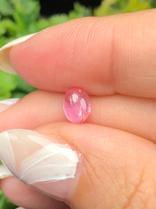 Natural Pink Sapphire Cacbochon Luc Yen 1,03ct   -140104HG