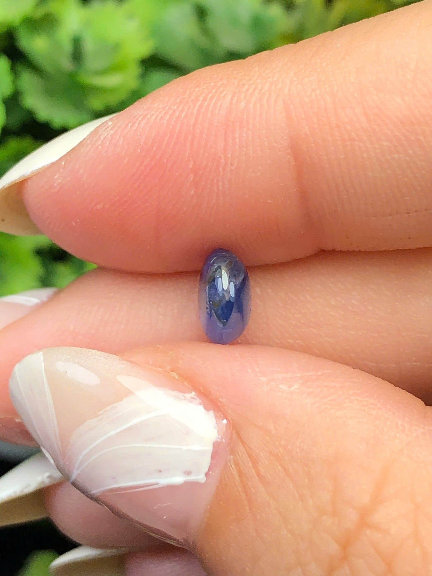 Natural blue sapphire Cacbochon Luc Yen 1,42 ct -140106HG