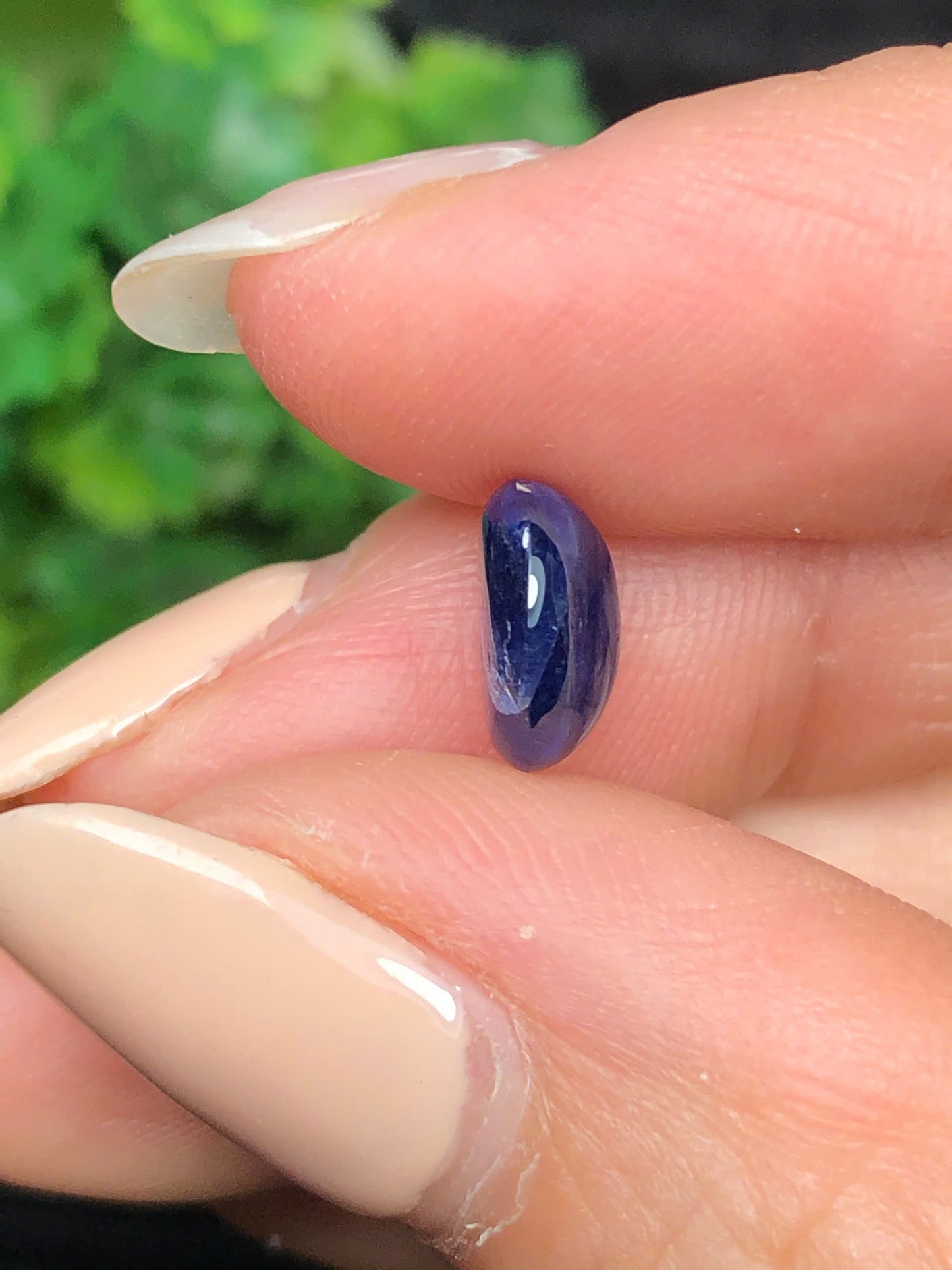Natural blue Sapphire Cacbochon Luc Yen 2.54ct   -06062606HG