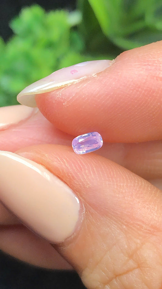Natural purple silky sapphire Luc Yen 0.24ct  _06062612HG