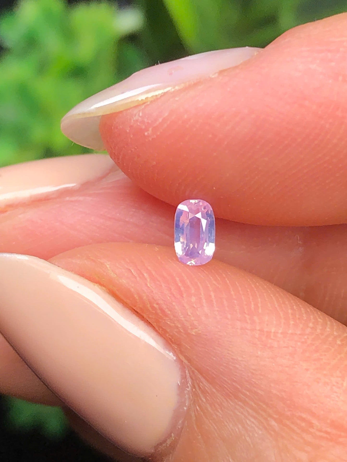 Natural purple silky sapphire Luc Yen 0.24ct  _06062612HG