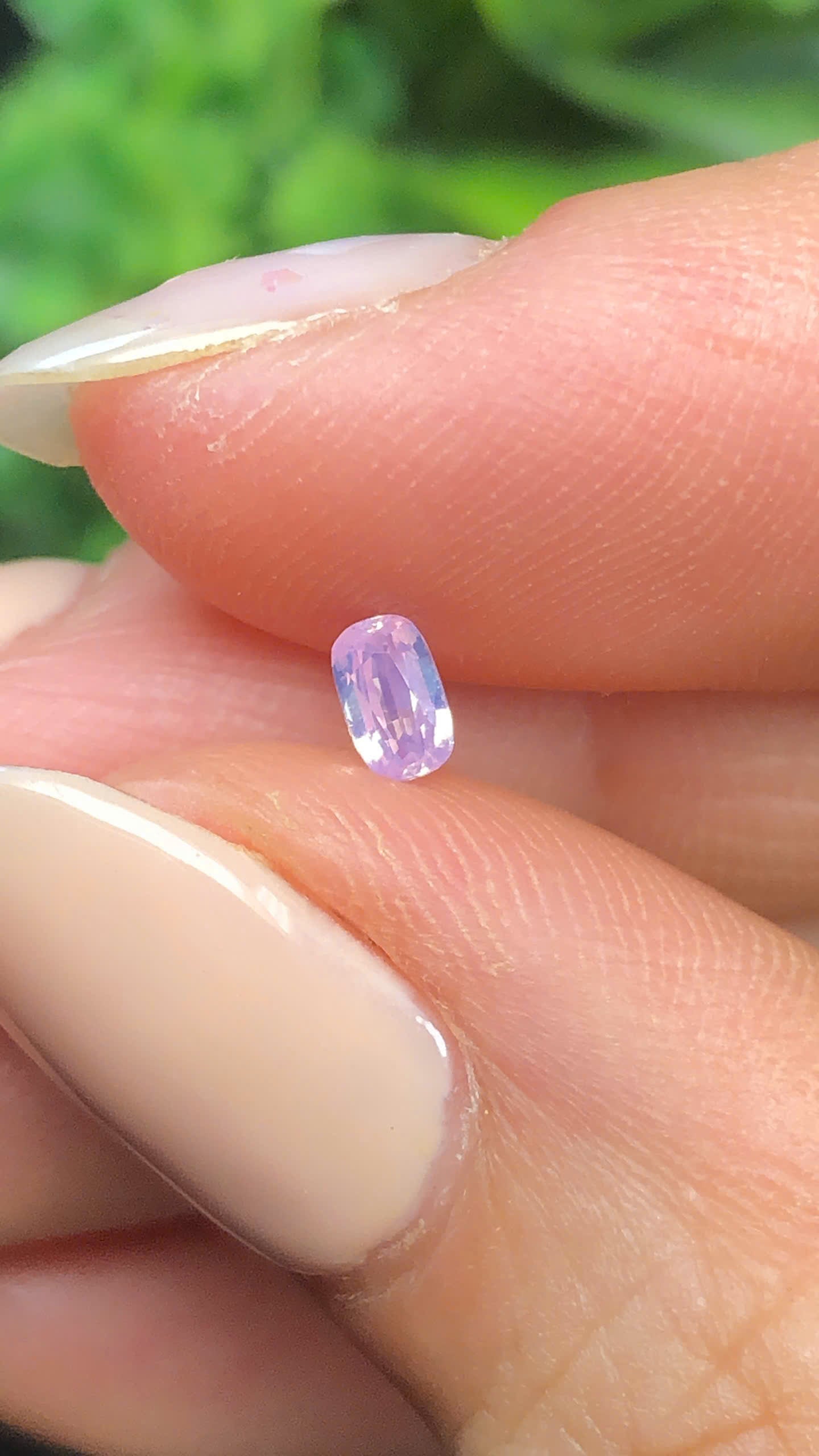Natural purple silky sapphire Luc Yen 0.24ct  _06062612HG