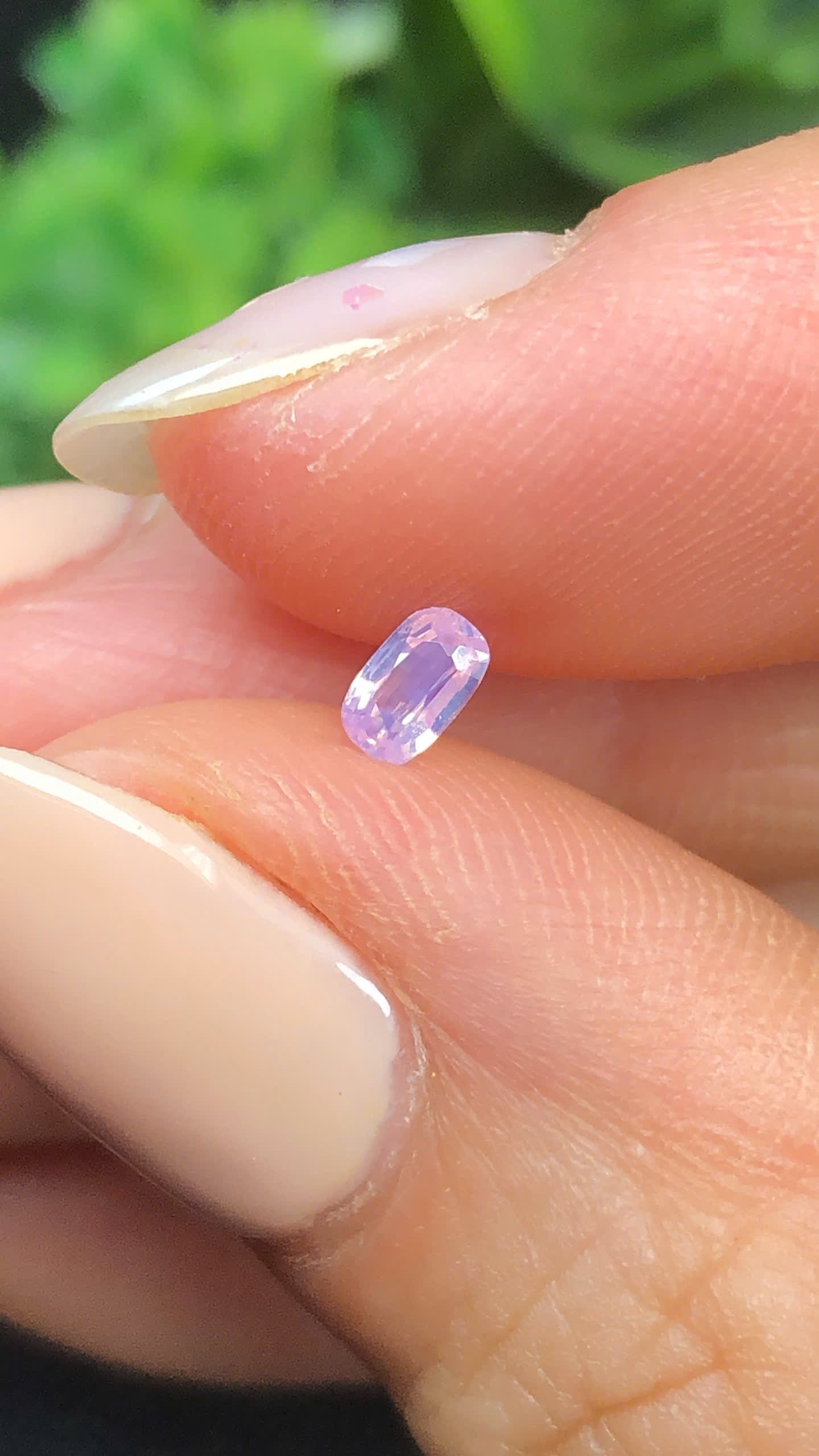 Natural purple silky sapphire Luc Yen 0.24ct  _06062612HG