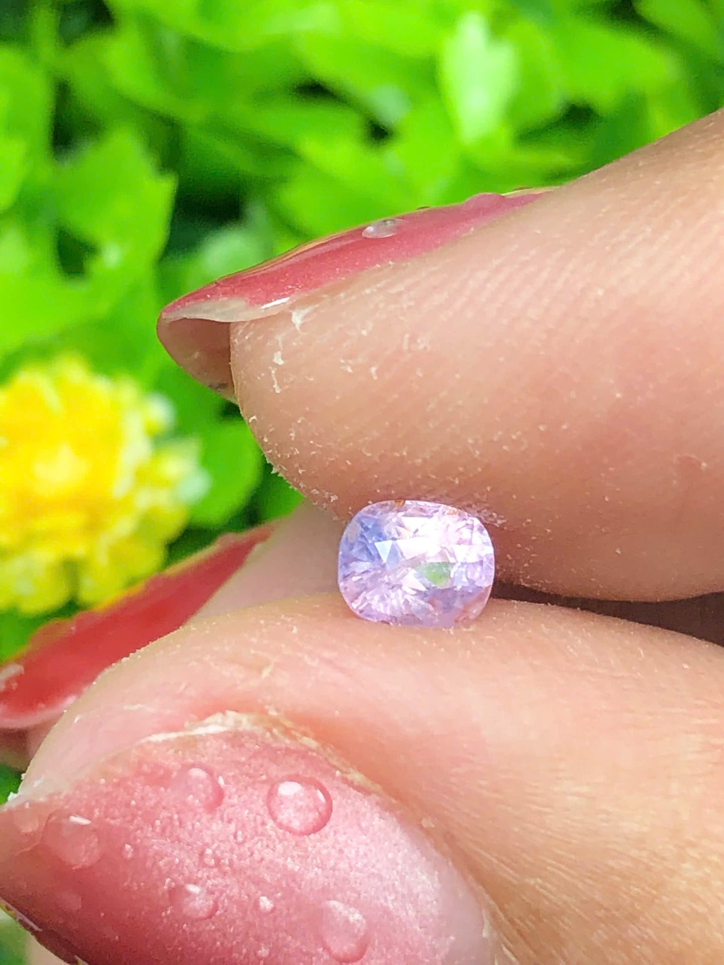 Natural silky Sapphire _ 11062628HU