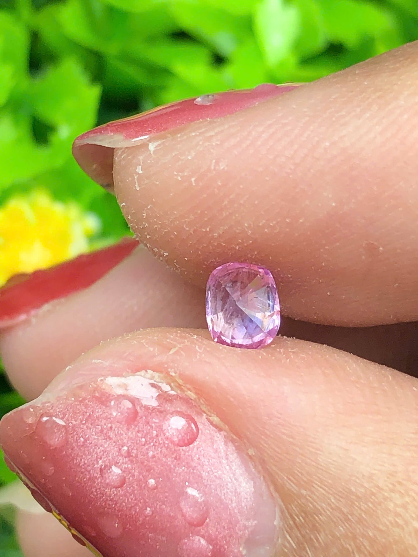 Natural silky Sapphire _ 11062628HU