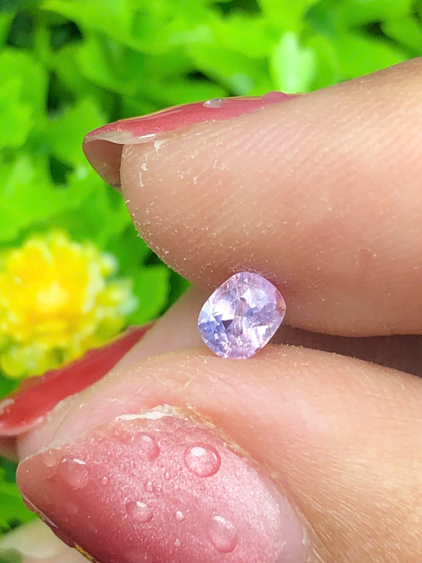 Natural silky Sapphire _ 11062628HU