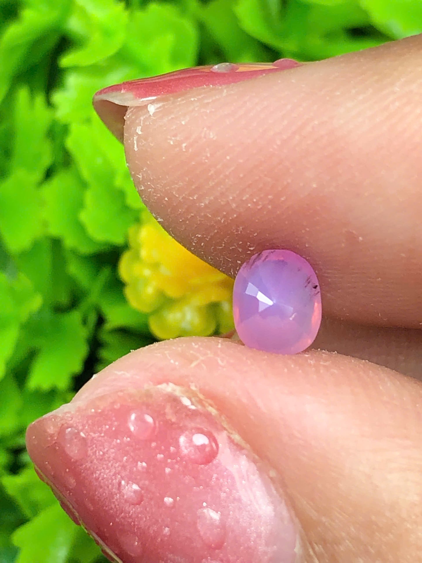 Pink silky sapphire_11062629HU