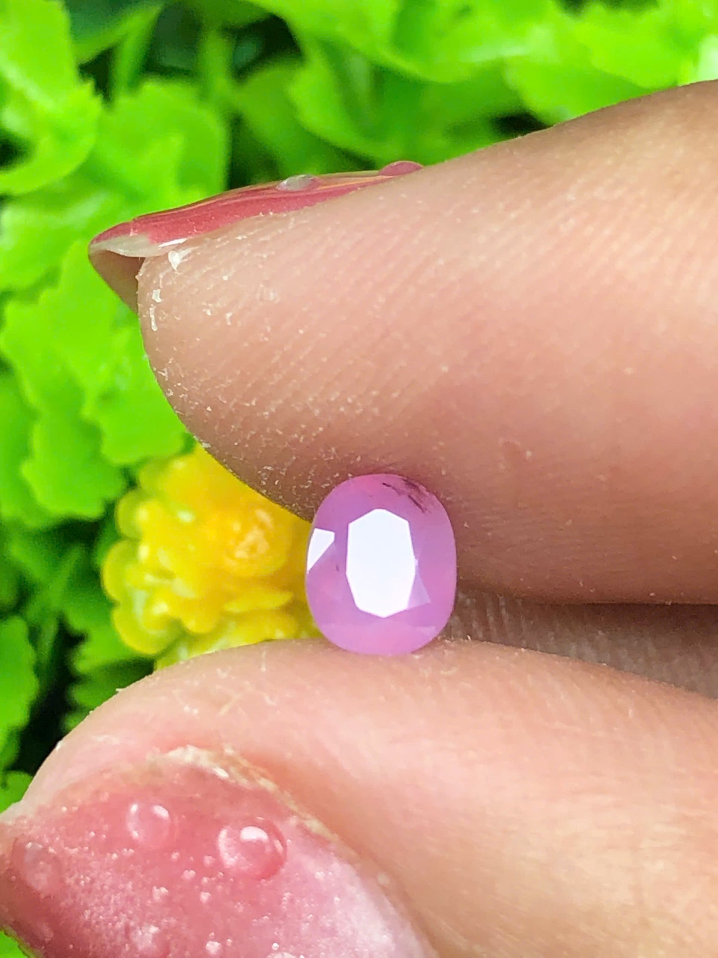 Pink silky sapphire_11062629HU