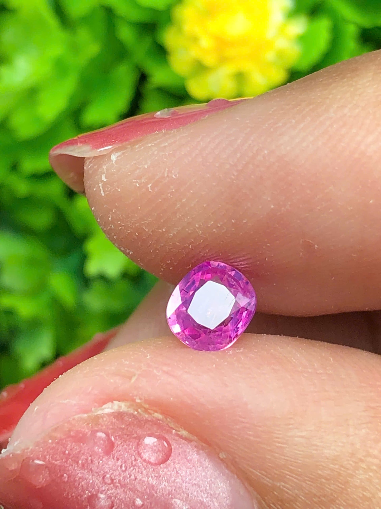 Hot Pink silky sapphire LụcYên_11062630HU