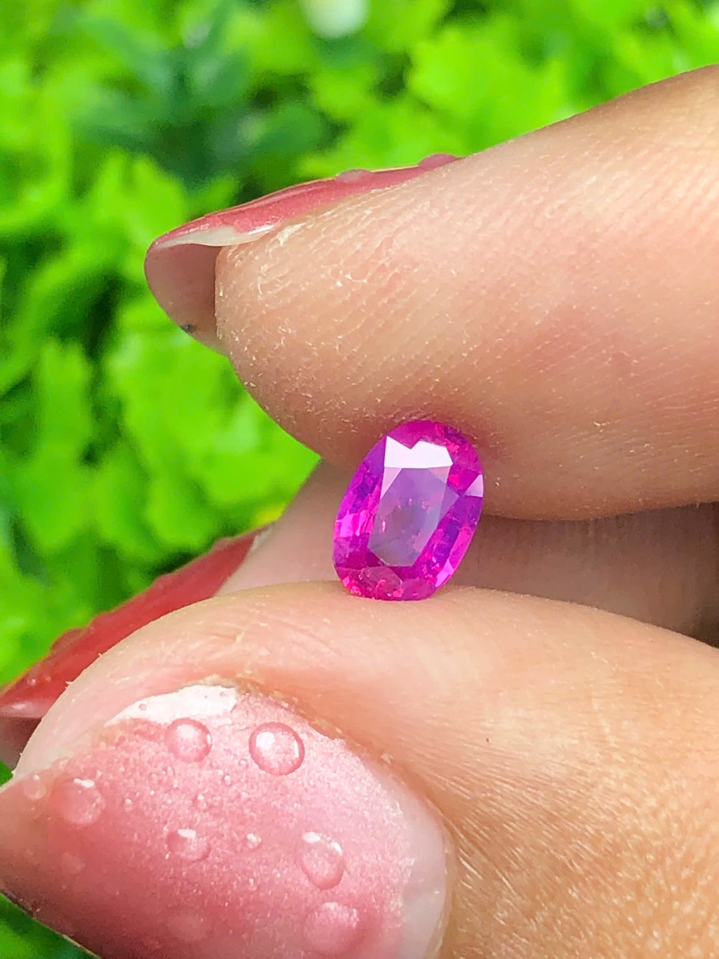 Hot Pink silky sapphire LụcYên_12062602HU
