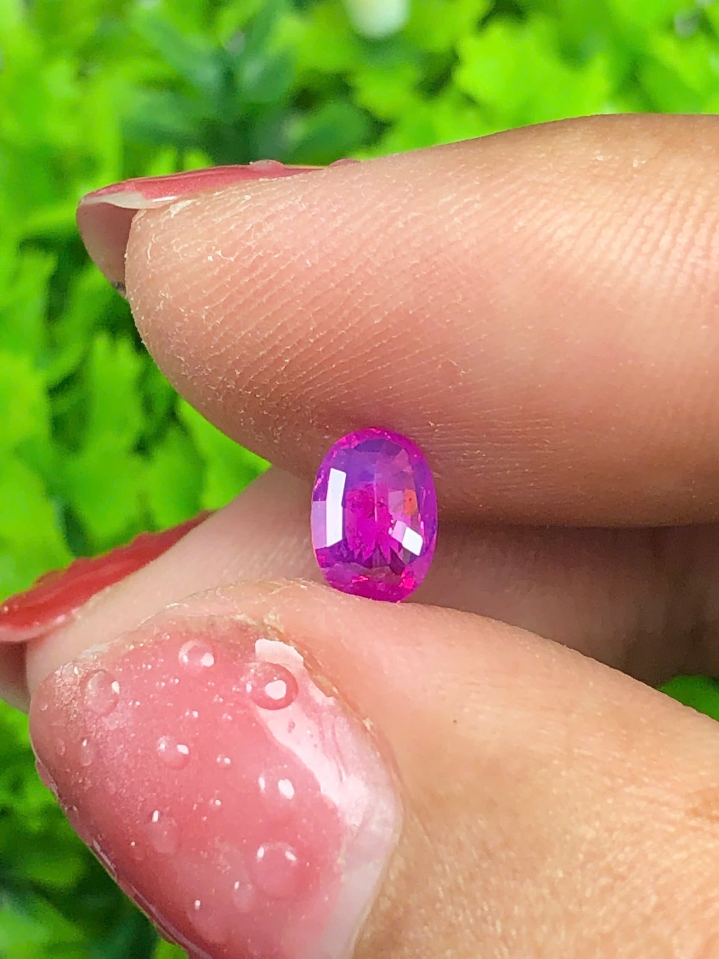 Hot Pink silky sapphire LụcYên_12062602HU