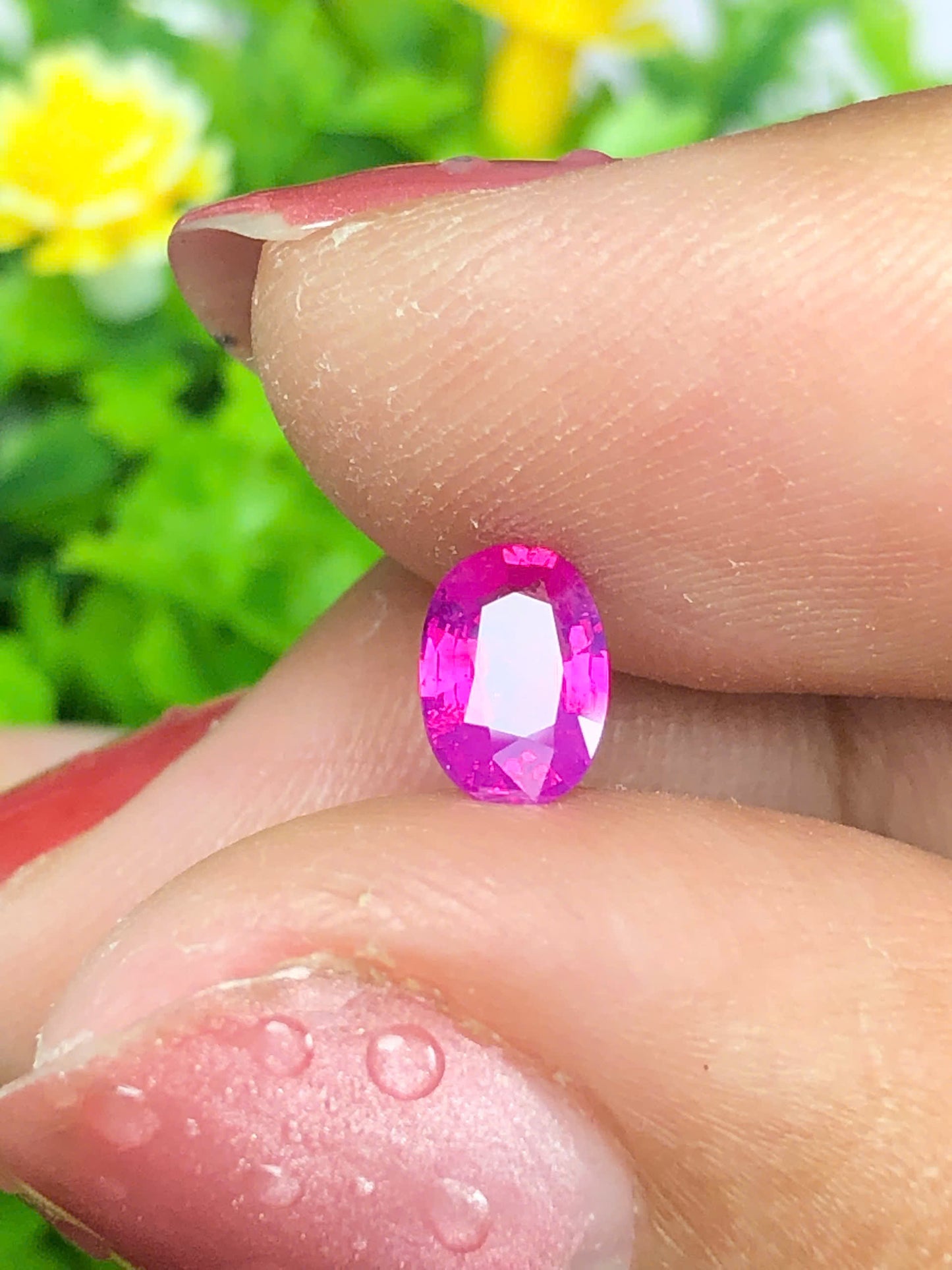 Hot Pink silky sapphire LụcYên_12062602HU