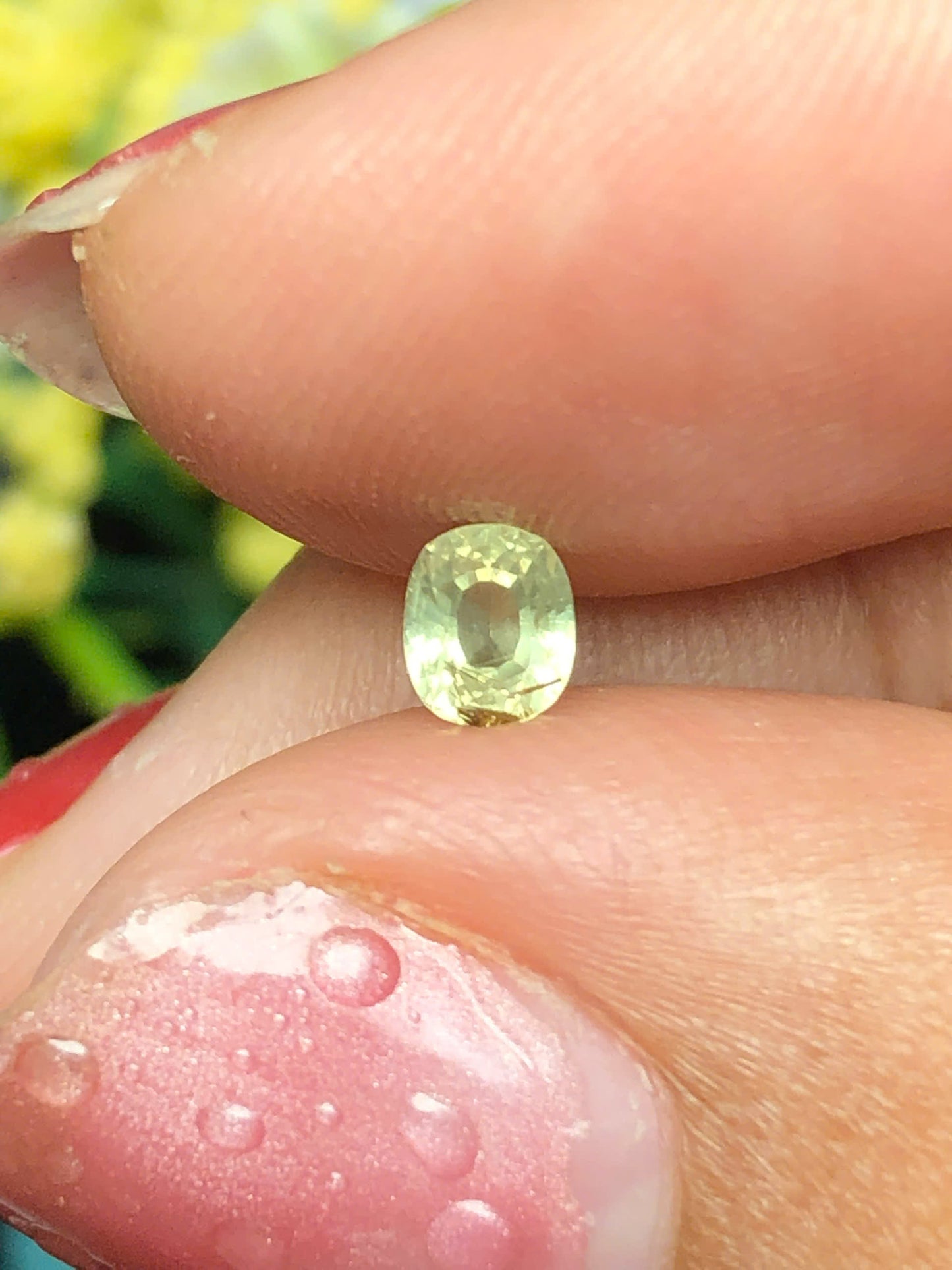 Natural musical yellow sapphire Lucyen 0.40ct_14062618HG