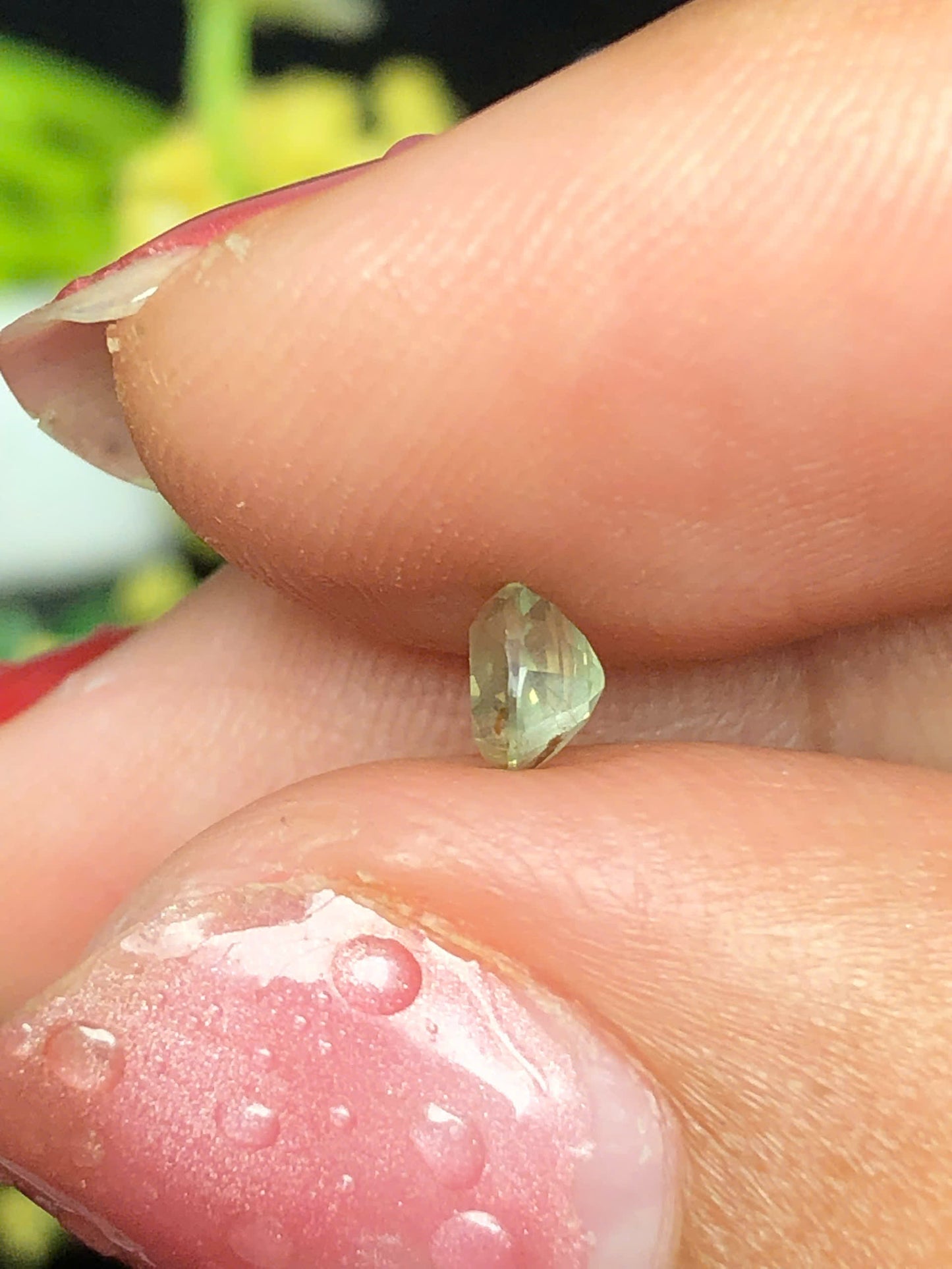 Natural musical yellow sapphire Lucyen 0.40ct_14062618HG